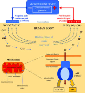 Effets physiologiques des microcurants électriques NESA
