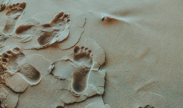 Les pieds supportent le poids du corps pendant la plupart des activités de notre quotidien. La fasciite plantaire affecte, donc, votre performance, votre bien-être en -enfin- votre santé.